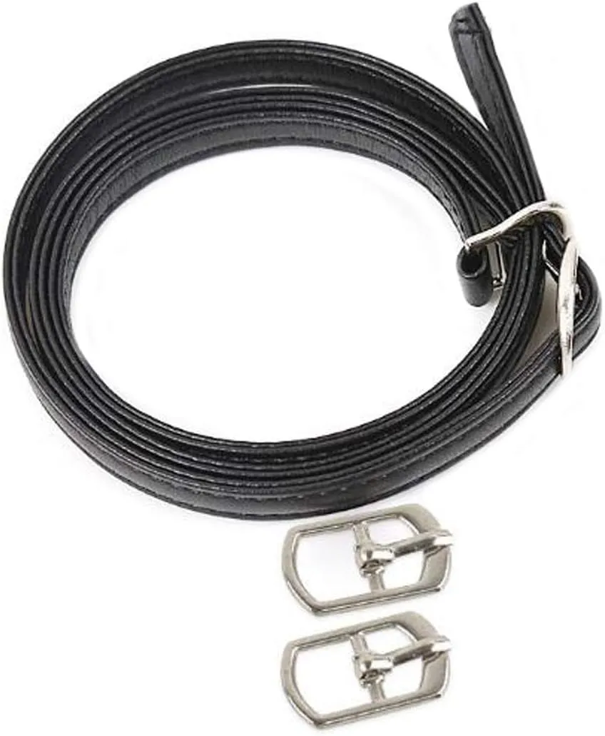 FZBNSRKO 2 Pairs Women Lady's Detachable Long High Heels Shoe Straps Loose Single Shoelace Accessories with Buckle